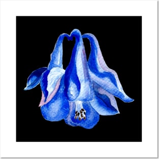 Blue Columbine - Watercolor Flower Painting Posters and Art